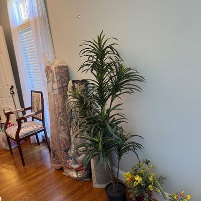 Sale Photo Thumbnail #29: Tall artificial potted dracaena plant displayed alongside rolled rugs in plastic wrap and silk floral arrangements.