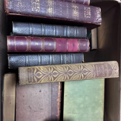 Sale Photo Thumbnail #313