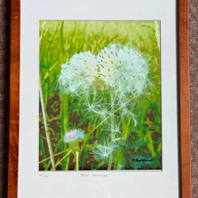 Sale Photo Thumbnail #329