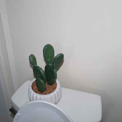 Sale Photo Thumbnail #94: Faux prickly pear cactus plant in a ribbed white ceramic pot, set with small gravel.