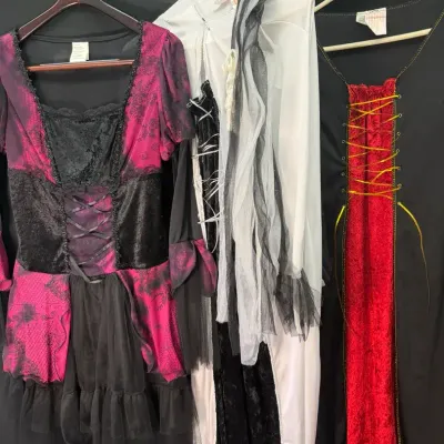 Three Women's Renaissance Medieval & Gothic Costumes