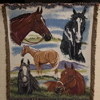 Sale Photo Thumbnail #37: D horse rug art