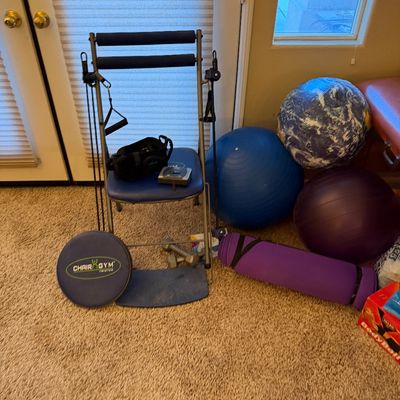Chair Gym seated workout system with Twister board seat, exercise balls, a rolled yoga mat, and small hand weights.