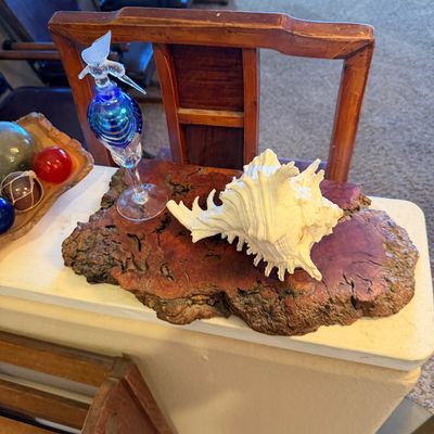 Natural live-edge redwood burl display slab, featuring a large white Chicoreus murex seashell and a blown art glass hummingbird perfume...