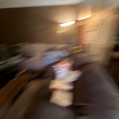 Severely blurry motion photo showing a living room area with a dark sofa and wall lighting.