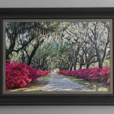 Sale Photo Thumbnail #121