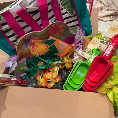 Sale Photo Thumbnail #450: Includes brushes & measuring cups