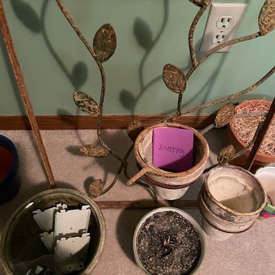Sale Photo Thumbnail #261: Decor