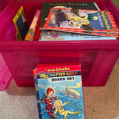 Sale Photo Thumbnail #178: Smaller pink tote with books