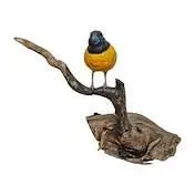 Sale Photo Thumbnail #20: Hand-painted carved wooden bird figurine perched on a natural driftwood base.