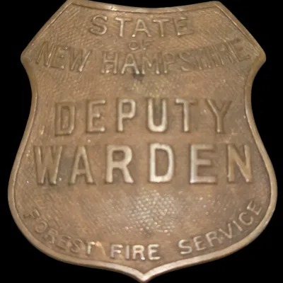 Sale Photo Thumbnail #138: Vintage State of New Hampshire Forest Fire Service Deputy Warden brass badge featuring raised lettering and a textured background.