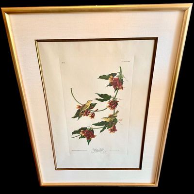 Sale Photo Thumbnail #238: Beautifully detailed colored lithographic reproduction of John Jame’s Audubon Rathbone Warbler from his celebrated’Birds of America’ series. Depicting a male and female warbler parched among vibrant red-orange trumpet flowers, the composition showca
