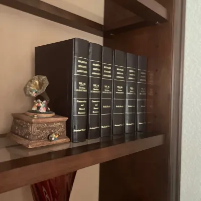 Collection of bound Michigan Statutes Annotated law books displayed on a wooden shelf alongside a miniature decorative gramophone music box.