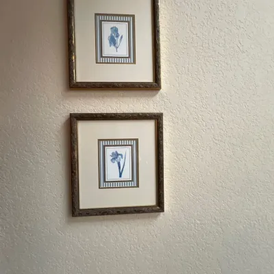 Pair of framed botanical prints featuring blue iris illustrations with striped inner matting and ornate gold-tone frames.