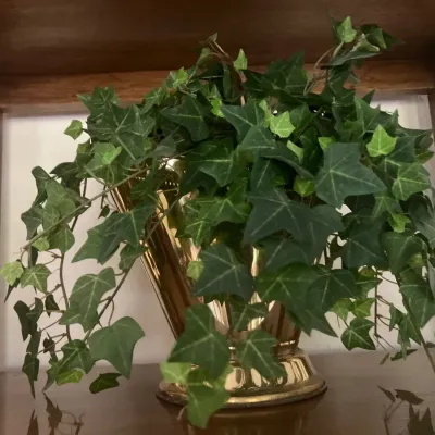Faux green ivy plant arranged inside a polished brass bucket-style planter with a pedestal base, displayed on a wooden shelf.