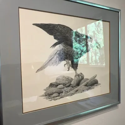 Framed wildlife art print depicting a predatory bird perched on rocks with outstretched wings, housed in a double-matted silver metal...