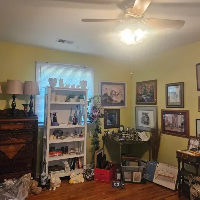 Art work and decor 