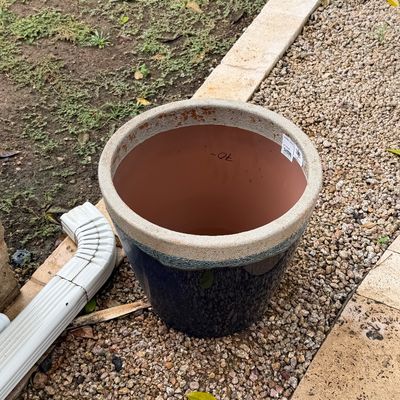 Large dark blue ceramic garden planter with a textured, lighter rim and a terracotta interior.