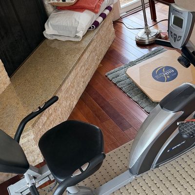 Exerpeutic recumbent stationary exercise bike placed on a neutral patterned area rug near a fireplace hearth.