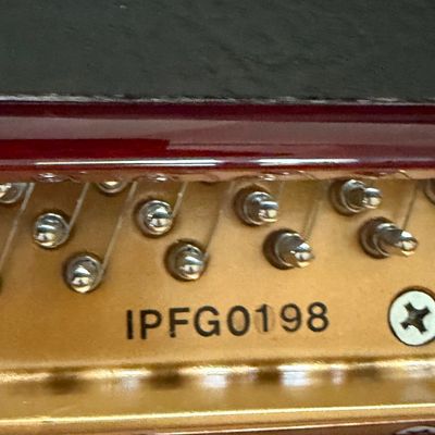 Close-up detail of a piano harp showing tuning pins, strings, and serial number IPFG0198 on a gold-finished cast iron plate.