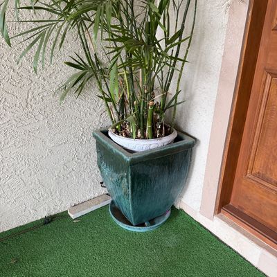 Tall potted palm plant set inside a large, square teal glazed ceramic planter with a matching saucer base.