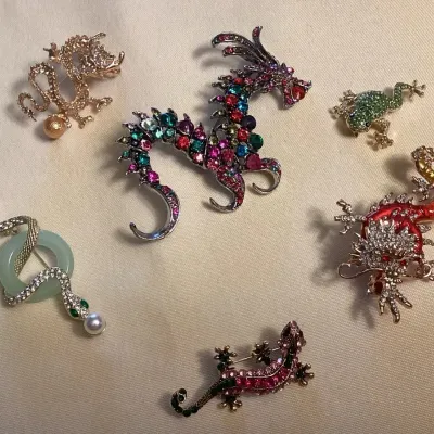 CCM096 Six Chinese Dragon & Reptile Costume Jewelry Brooches 