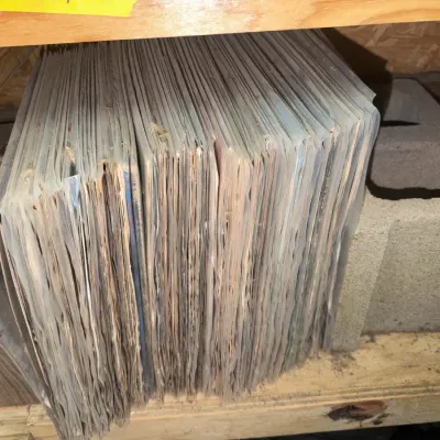 Sale Photo Thumbnail #89: Large collection of vinyl LP records stored vertically in protective plastic sleeves on a wooden shelf.