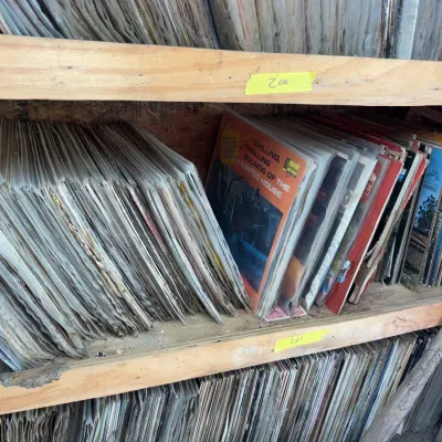 Sale Photo Thumbnail #80: Large collection of vintage vinyl LP records organized on wooden shelving, featuring titles such as Disneyland's 'Chilling, Thrilling Sounds of the Haunted House'.