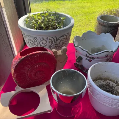 Collection of decorative planters and ceramic items including a red snail planter, a white embossed pot with green foliage, and a floral...
