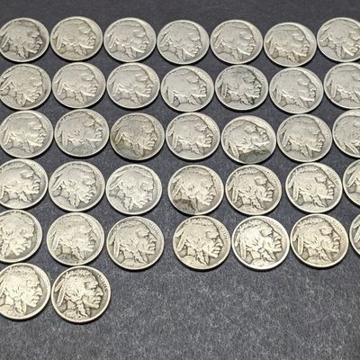(54) Assorted No Date Indian Head Buffalo Nickels