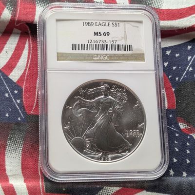 1989 American Silver Eagle One Troy Oz. .999 Fine Silver NGC MS 69
