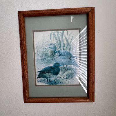 Sale Photo Thumbnail #30