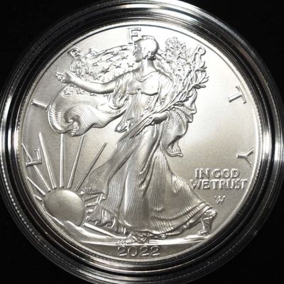 Sale Photo Thumbnail #331: 2022-W AMERICAN SILVER EAGLE