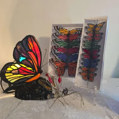 Colorful Butterfly Collection 