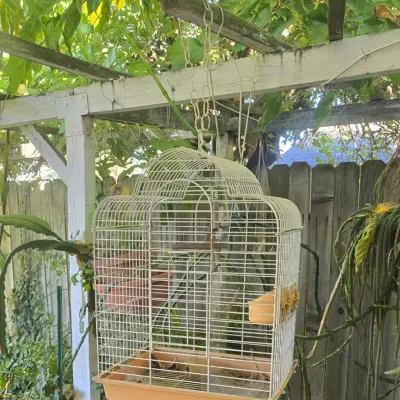 Sale Photo Thumbnail #132: Vintage white wire bird cage with a domed top and tan plastic base, hanging outdoors.
