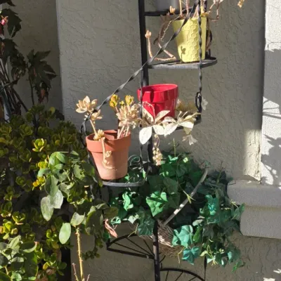 Sale Photo Thumbnail #95: Black wrought iron spiral plant stand with multiple tiers holding potted plants and greenery.