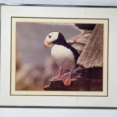 Sale Photo Thumbnail #123