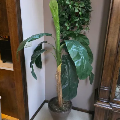 Sale Photo Thumbnail #46