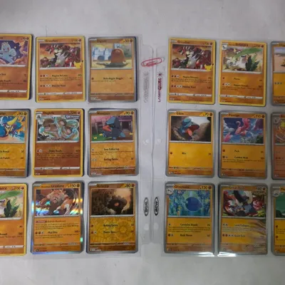 36 Brown Pokemon Cards