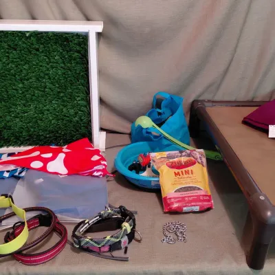 Dog Collection - Cones, Large Collars, Ball Thrower with Balls, Combs, Bowl, Mesh Bed, Indoor Potty