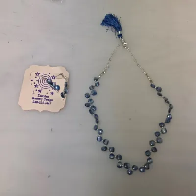 Kyanite and 925 Sterling Necklace and Earring Set