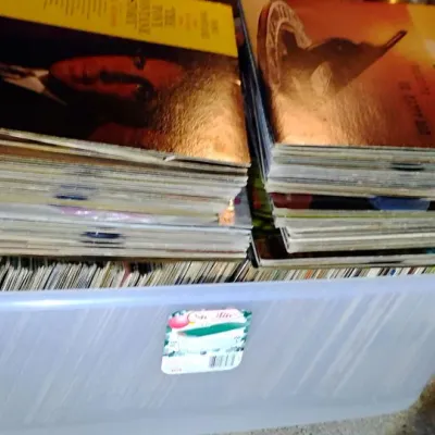 Large Vintage Vinyl Record Collection, Assorted LPs