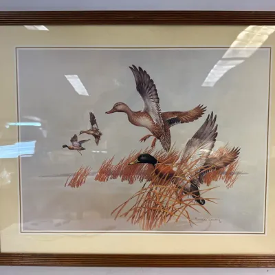 Framed Charles E. Murphy Duck Print: 1985 Mallard and Wetland Wildlife Art