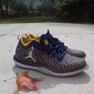 University of Michigan Jordan Trainers Size 11 Men's - Estate Sales Warehouse (GR)