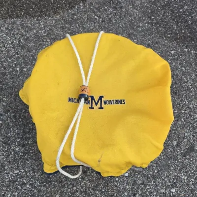 Michigan Wolverines Picnic Basket with Cups, Plates and Napkins - Go Blue!