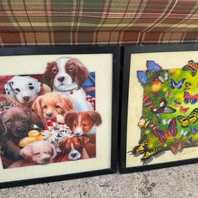 Framed Lenticular 3D Wall Art Pair