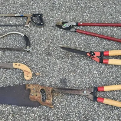Lot of Hand Saws and Tree Trimmers - Loppers, Hedge Shears, Pruning Saw and Hacksaw