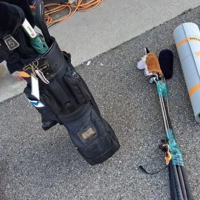 Sale Photo Thumbnail #59: Golf Clubs, Shoes, and Practice Putting Green