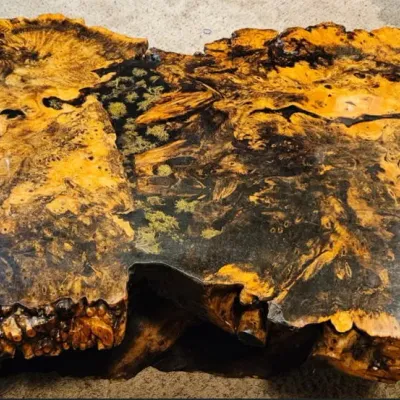 Live Edge Burl Wood Table - Made in the USA