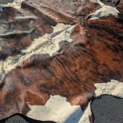 Sale Photo Thumbnail #130: Vintage Cowhide rug from Uruguay 